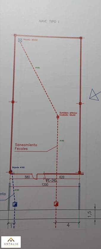 Imagen 9