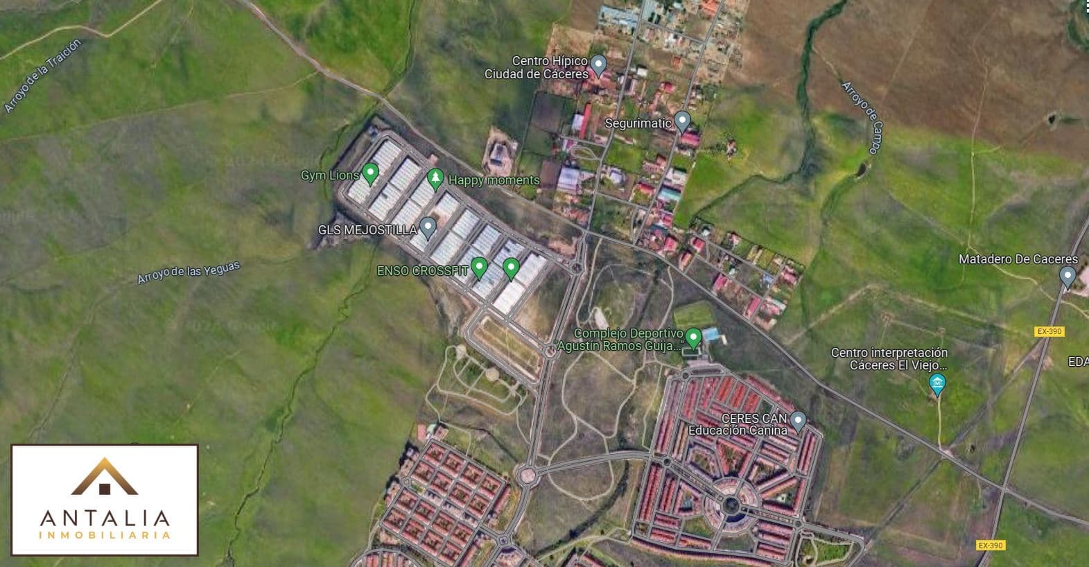 Imagen 10